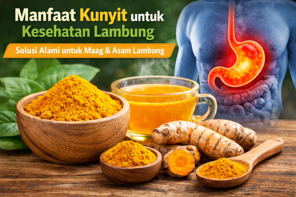 Manfaat Kunyit untuk Kesehatan Lambung Secara Alami Manfaat Kunyit untuk Kesehatan Lambung Secara Alami